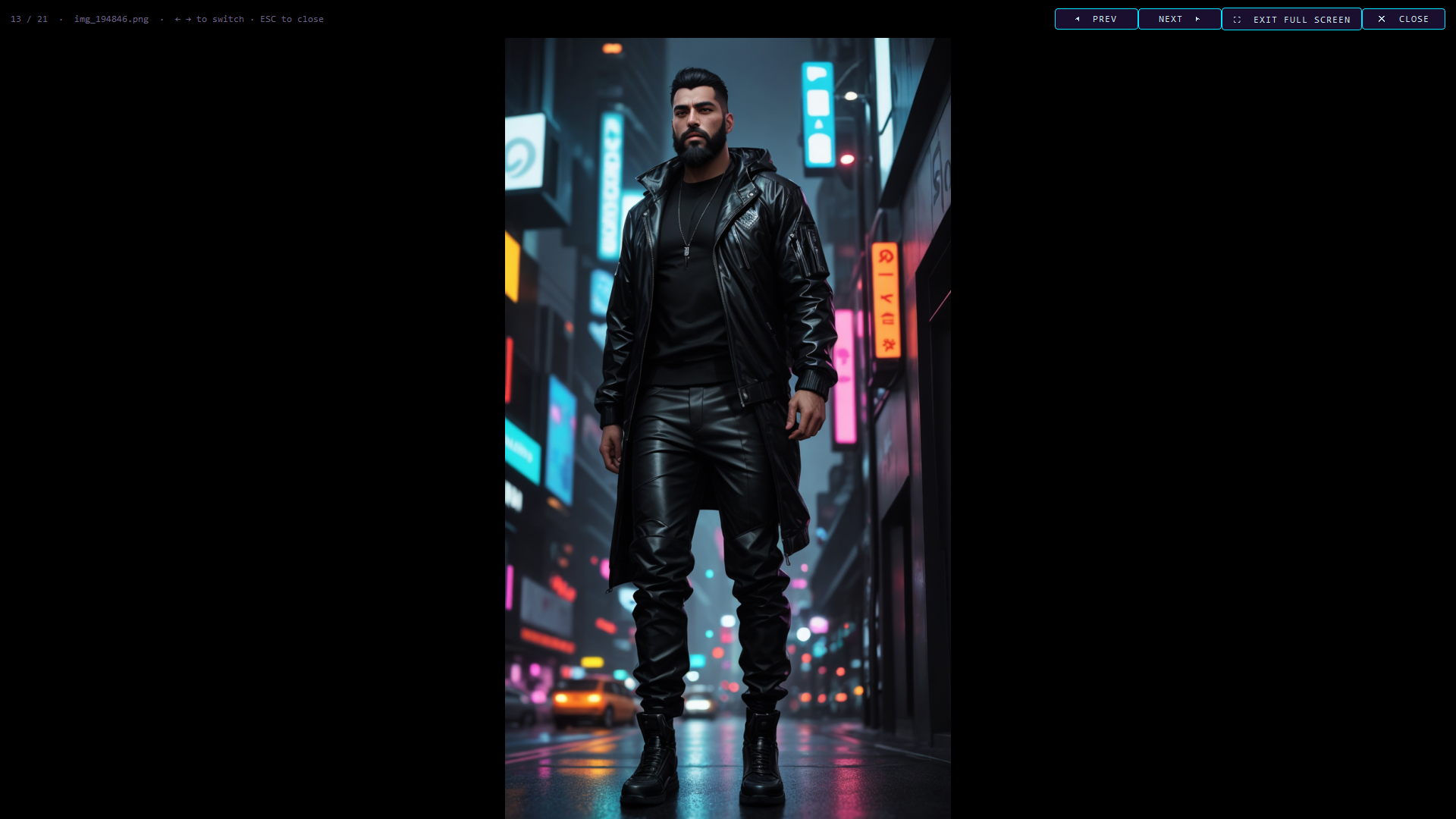 Mars Ind - Imaging full-screen viewer: a single render displayed at full resolution with prev/next navigation